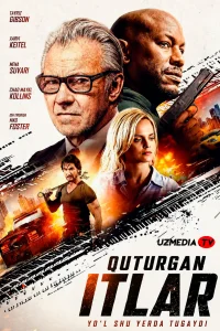 Quturgan itlar / Telba itlar / Usta Premyera